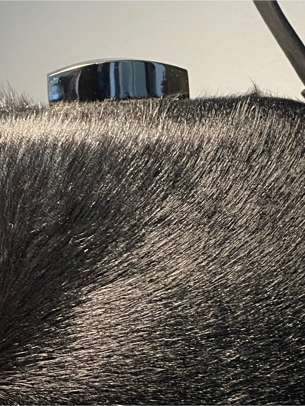 Black Fur Clutch Wristlet - Sleek Evening Bag